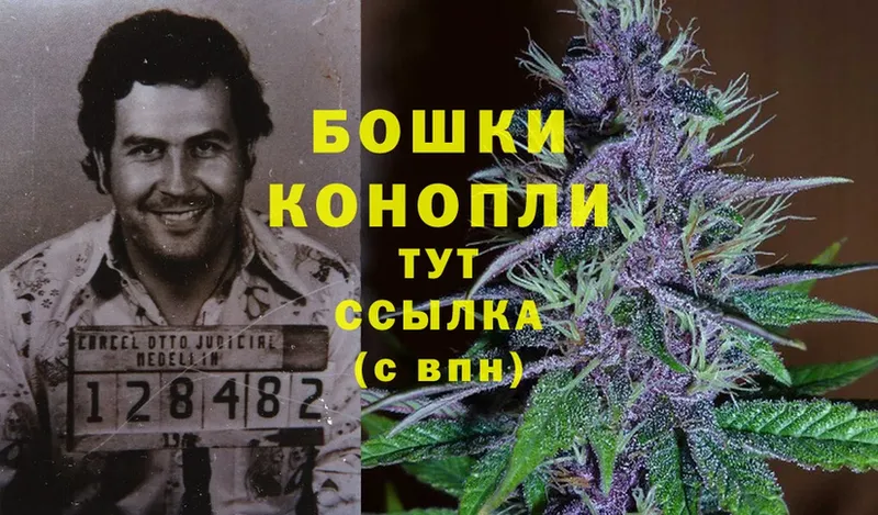 сколько стоит  ссылка на мегу как зайти  Конопля OG Kush  Волгореченск 